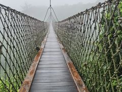 -三亚亚龙湾人间天堂鸟巢度假村