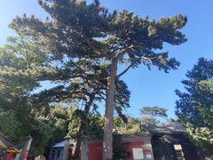 -阳台山自然风景区