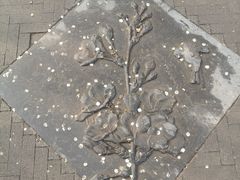 -桃花堤公园