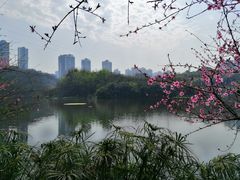 -重庆彩云湖湿地公园