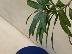 -小团圆糖水铺(襄阳南路店)