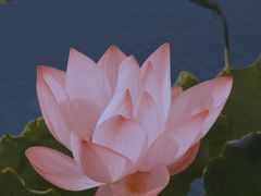 -秋水广场