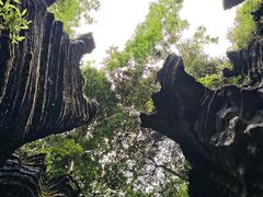 -梭布垭石林景区