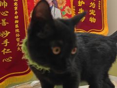 -悦宠动物医院(京丰分院)