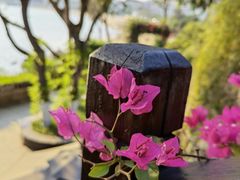 -胡里山炮台