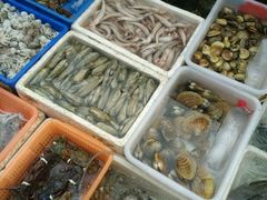 水产区-先锋海鲜市场