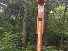 -北京鹫峰国家森林公园