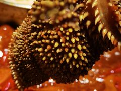 -巴蜀印象火锅(永陵总店)