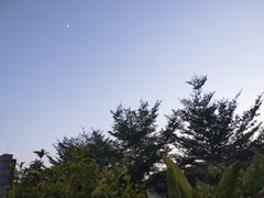 -马家斑.鲜鱼火锅(松湖万科店)