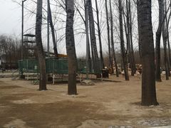 -东方巨龟苑景区