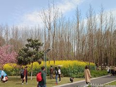 -闵行体育馆-停车场