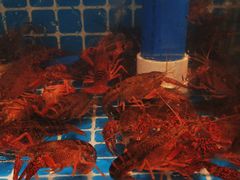 -鹿客臻鲜海鲜自助餐厅(永旺店)