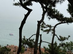 -青岛海滨风景区小鱼山