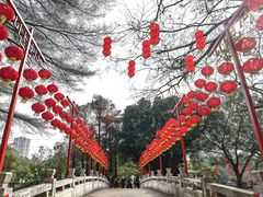 -晓港公园
