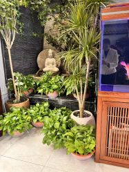 -至爱至信新中式SPA疗愈会所