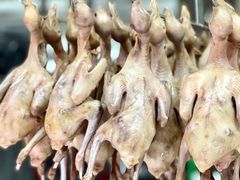 -石岐乳鸽村(南海第三分店)