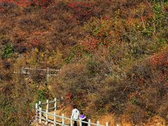 -北京西山国家森林公园