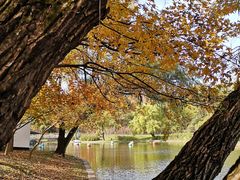 -上海共青森林公园