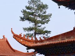 -开福禅寺