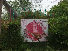 -自然谷恐龙园