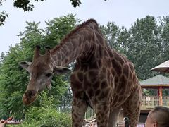 -大连森林动物园