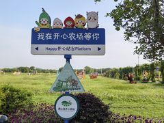 -苏州太湖西山岛开心农场