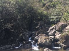 -东天目山风景区