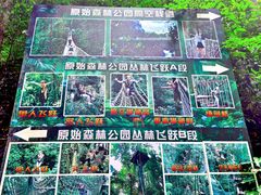 -西双版纳原始森林公园