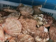 -锅老头铁锅炖•大锅蒸汽海鲜(韩乐坊店)