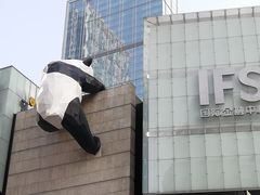 -降龙爪爪(建设路1店)