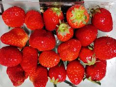 -浦东食品城(华诚大厦店)