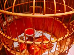 -胡桃里乐队酒馆(长春总店)