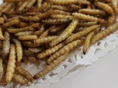 -天强农家菜馆