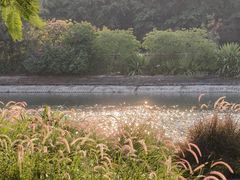 -时光花园(白鹭洲店)