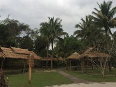 -中国科学院西双版纳热带植物园