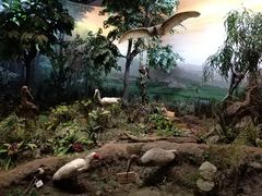 -陕西自然博物馆