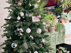 -自由生长植物工作室(深港花卉中心店)