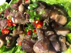 耙猪蹄-老诚一锅羊蝎子(黄寺大街店)