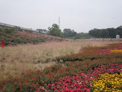 -秀丽东方