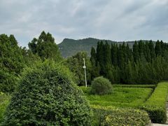 -四门塔风景区