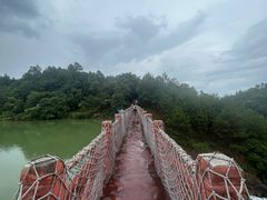 -广州白江湖森林公园