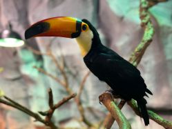 -Zoolung Zoolung动物主题公园(海信广场店)