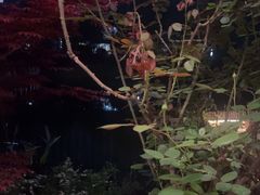 -茶肆(仙林店)