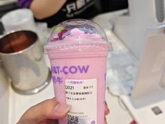 -一只酸奶牛(时代天街A馆店)