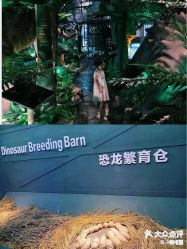 -恐龙探索乐园(磁器口店)
