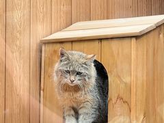 -青藏高原野生动物园