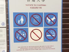 -香港大学