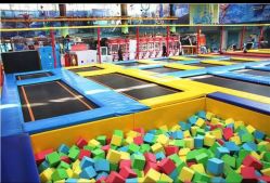 -爱丽丝奇幻乐园