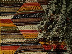 -纳鲁孜·新疆特色餐厅(上海悦荟广场店)