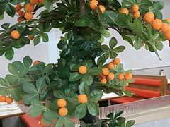 -火龙堂·风味民间菜(文一路店)